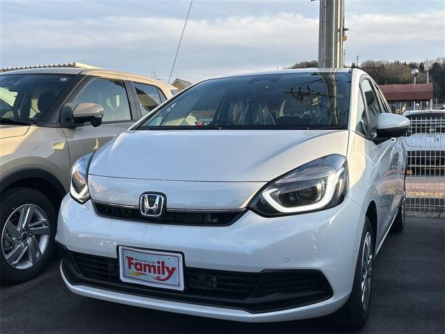 ホンダ フィット　ハイブリッド １．５ Ｅ：ＨＥＶ ホーム R6年 (東海) 99