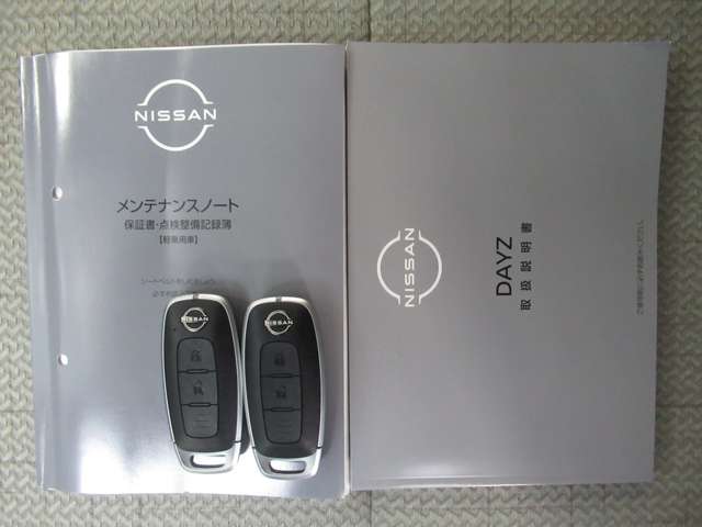 日産 デイズ ６６０ Ｘ R6年 (九州・沖縄) 99