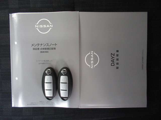 日産 デイズ ６６０ ハイウェイスターＸ R5年 (九州・沖縄) 99