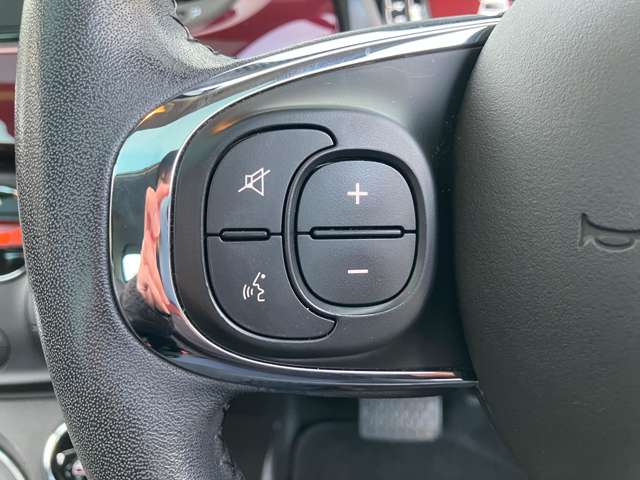 フィアット ５００（チンクエチェント） コレッツィオーネ R1年 (東北) 99