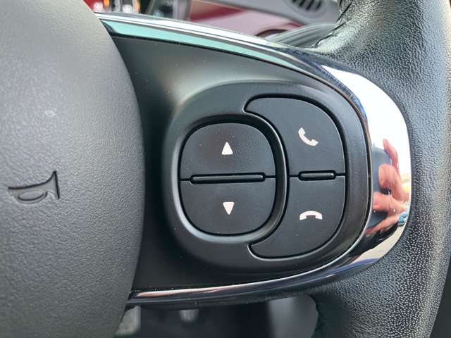 フィアット ５００（チンクエチェント） コレッツィオーネ R1年 (東北) 99