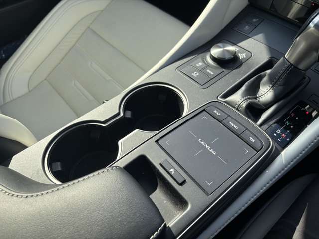 レクサス ＲＣ３５０ Ｆスポーツ R2年 (東北) 99