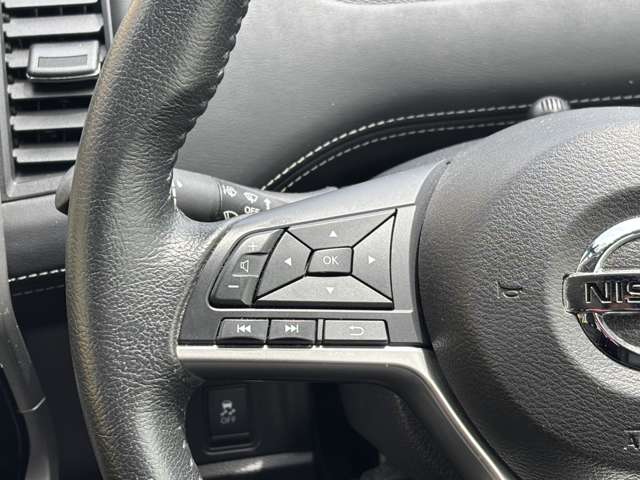 日産 セレナ ２．０ ハイウェイスターＧ プロパイロット エディション H28年 (東北) 99