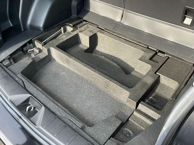 スバル フォレスター ２．０ エックスブレイク ４ＷＤ H28年 (東北) 99