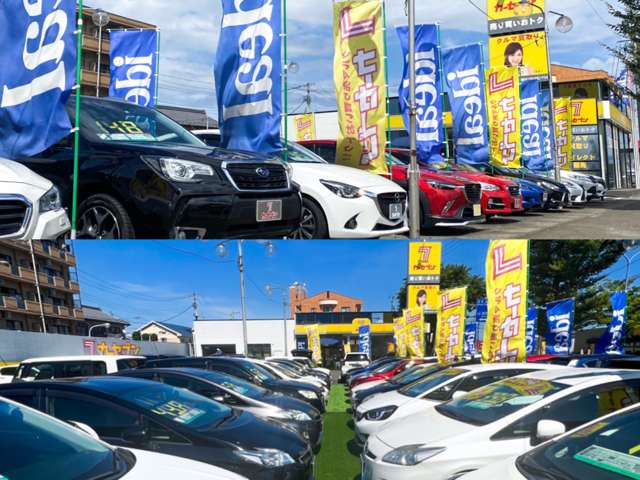 マツダ ＣＸ−５ ２．２ ＸＤ プロアクティブ ディーゼルターボ ４ＷＤ R2年 (東北) 99