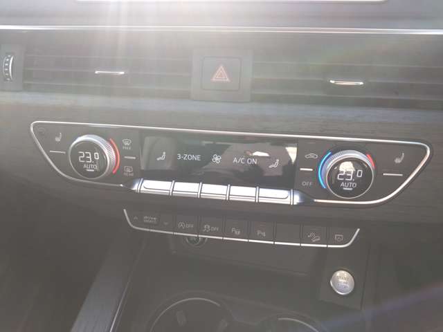 アウディ Ａ４　オールロード　クワトロ ２．０ ４ＷＤ H30年 (東北) 99