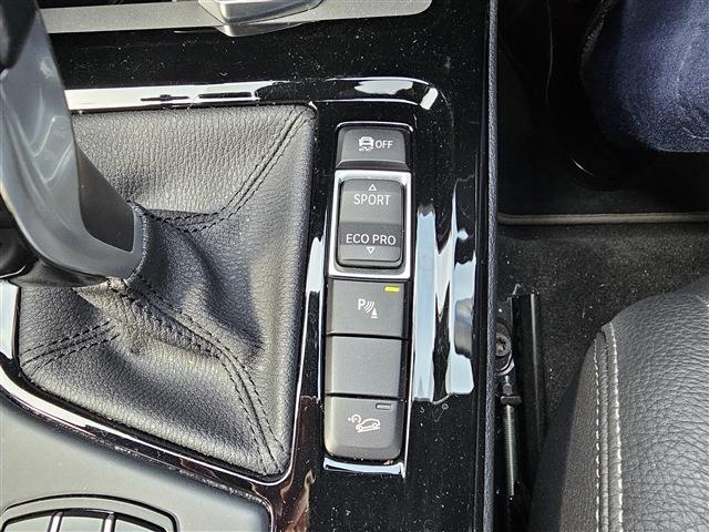 ＢＭＷ Ｘ２ Ｘドライブ２０Ｉ ＭスポーツＸ ４ＷＤ H30年 (東北) 99