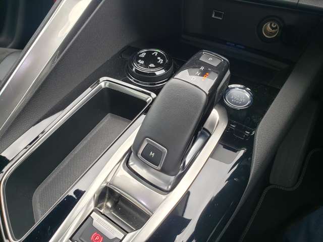 プジョー ３００８ ＧＴ ブルーＨＤＩ ディーゼルターボ R1年 (東北) 99