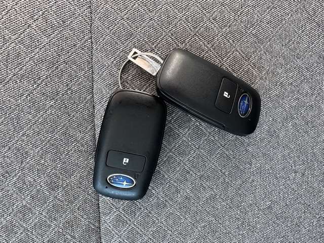 スバル シフォン ６６０ Ｌ R5年 (東海) 99