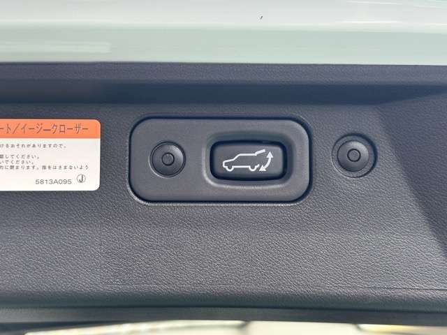 三菱 デリカ　Ｄ：５ ２．２ Ｐ ディーゼルターボ ４ＷＤ R6年 (東海) 99