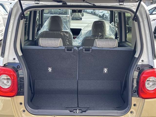 ダイハツ ムーヴ　キャンバス ６６０ ストライプス Ｇ R6年 (近畿) 99