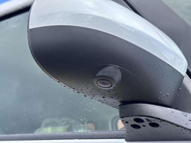 ダイハツ ムーヴ　キャンバス ６６０ ストライプス Ｇ R6年 (近畿) 99