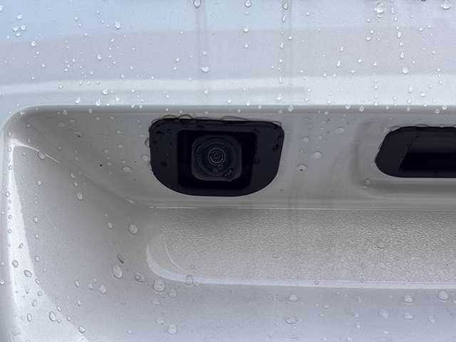 ダイハツ ムーヴ　キャンバス ６６０ ストライプス Ｇ R6年 (近畿) 99