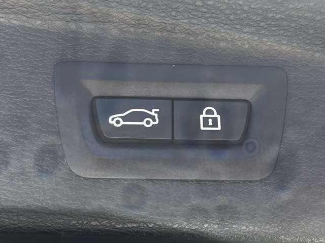 ＢＭＷ Ｘ２ Ｘドライブ２０Ｉ ＭスポーツＸ ４ＷＤ H30年 (東北) 99