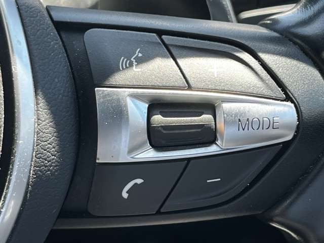 ＢＭＷ Ｘ２ Ｘドライブ２０Ｉ ＭスポーツＸ ４ＷＤ H30年 (東北) 99