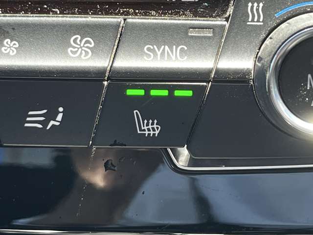 ＢＭＷ Ｘ２ Ｘドライブ２０Ｉ ＭスポーツＸ ４ＷＤ H30年 (東北) 99