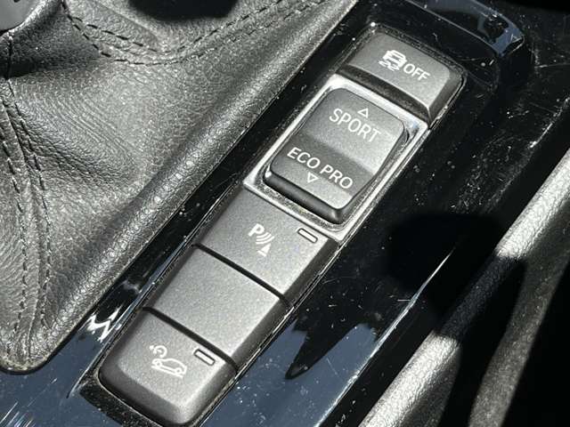 ＢＭＷ Ｘ２ Ｘドライブ２０Ｉ ＭスポーツＸ ４ＷＤ H30年 (東北) 99