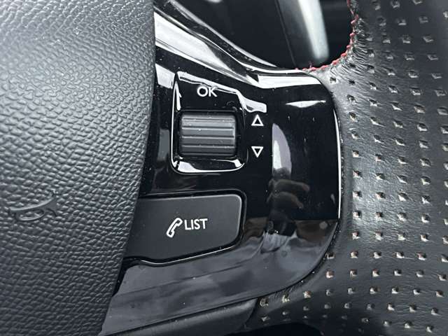 プジョー ３０８ＳＷ ＧＴ ブルーＨＤＩ ディーゼルターボ H30年 (東北) 99