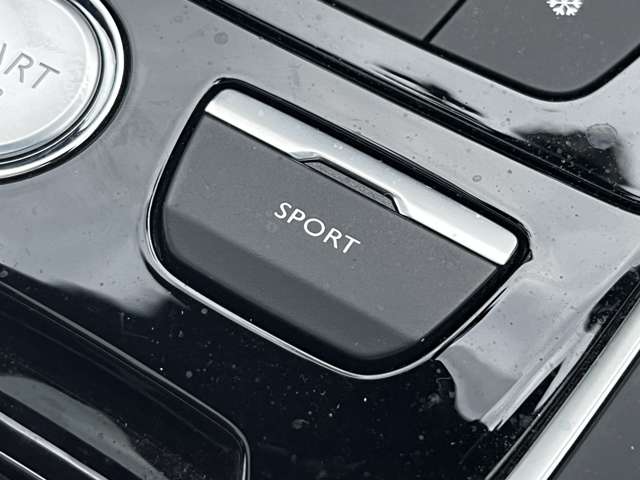 プジョー ３０８ＳＷ ＧＴ ブルーＨＤＩ ディーゼルターボ H30年 (東北) 99