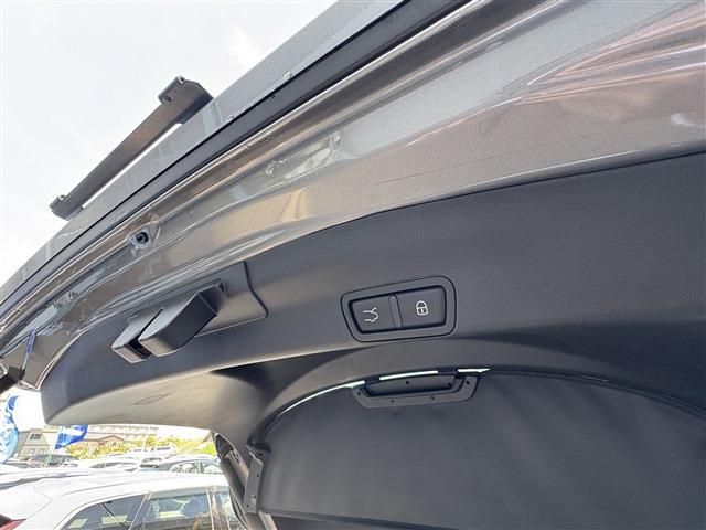 アルファロメオ ステルヴィオ ファースト エディション ４ＷＤ H30年 (東北) 99