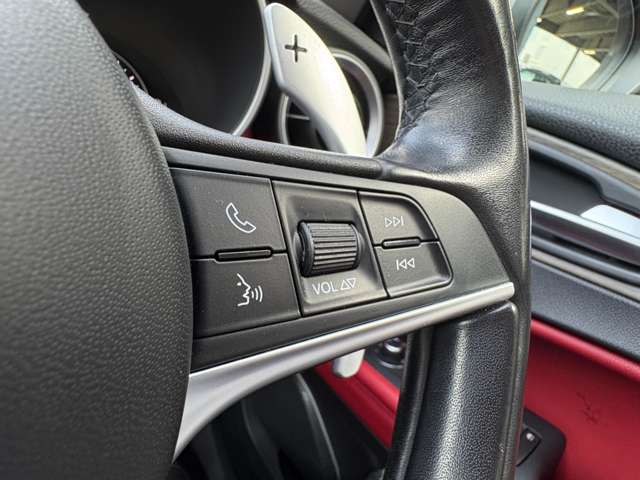 アルファロメオ ステルヴィオ ファースト エディション ４ＷＤ H30年 (東北) 99