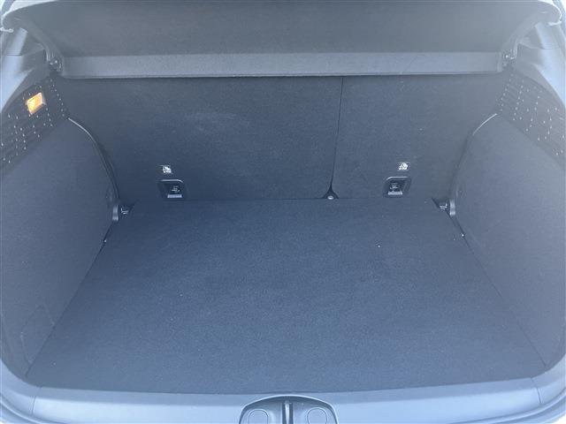 フィアット ５００Ｘ スポーツ R2年 () 99