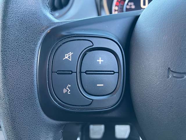 フィアット ５００（チンクエチェント） Ｓ マヌアーレ R1年 () 99