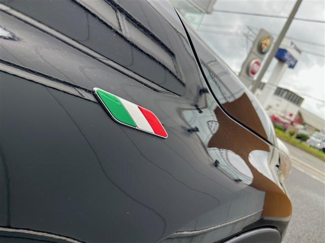 フィアット ５００Ｘ エクストリーム ４ＷＤ H30年 (東北) 99