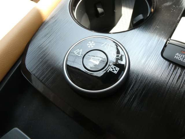 日産 エクストレイル １．５ Ｇ Ｅ－４ＯＲＣＥ ４ＷＤ R7年 (関東) 99