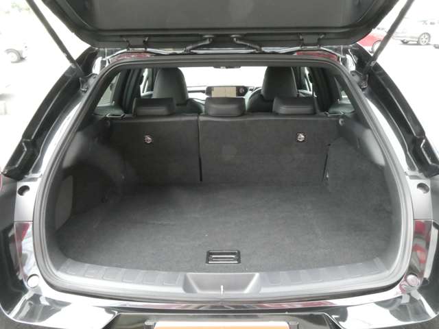 レクサス ＵＸ２５０ｈ バージョンＣ R1年 (関東) 99