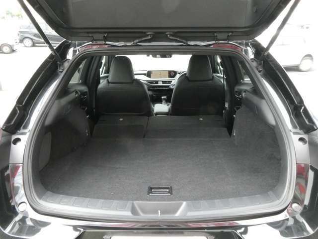 レクサス ＵＸ２５０ｈ バージョンＣ R1年 (関東) 99