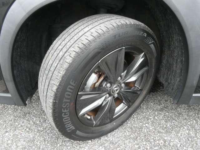 レクサス ＵＸ２５０ｈ バージョンＣ R1年 (関東) 99