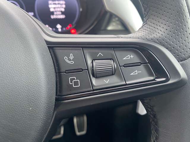 アルファロメオ トナーレ エディツィオーネ　スペチアーレ R5年 (東北) 99