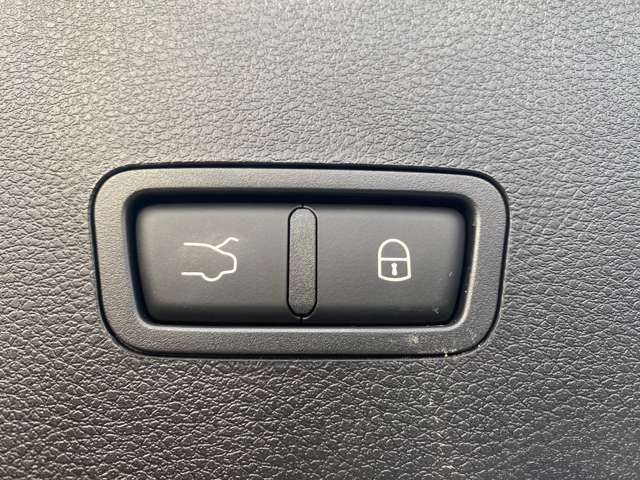 アルファロメオ トナーレ エディツィオーネ　スペチアーレ R5年 (東北) 99