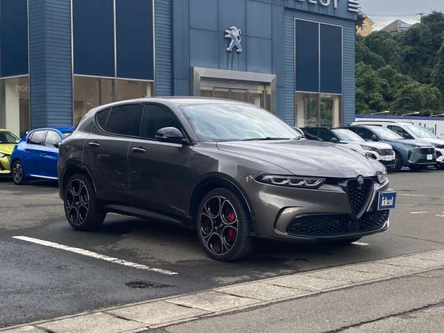 アルファロメオ トナーレ エディツィオーネ　スペチアーレ R5年 (東北) 99