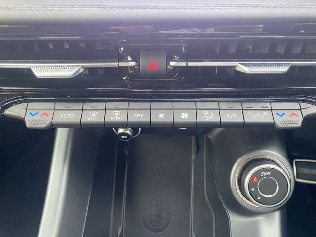 アルファロメオ トナーレ エディツィオーネ　スペチアーレ R5年 (東北) 99