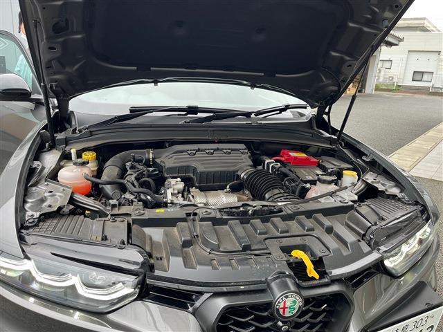 アルファロメオ トナーレ ヴェローチェ R5年 (東北) 99