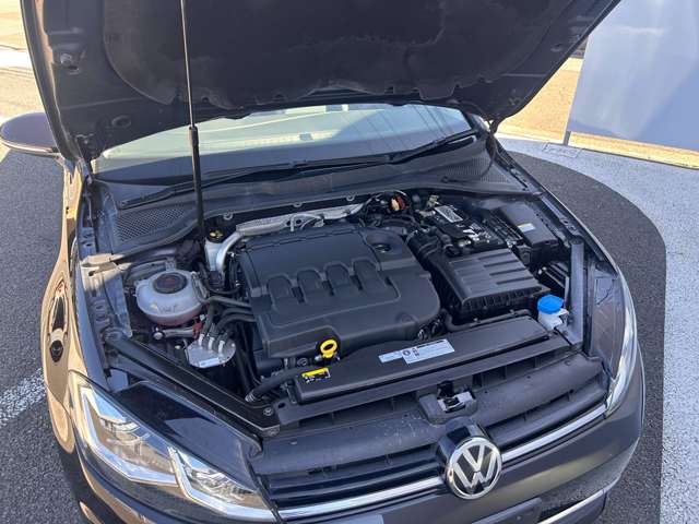 フォルクスワーゲン ゴルフヴァリアント ＴＤＩ ハイライン マイスター ディーゼルターボ R2年 (東北) 99