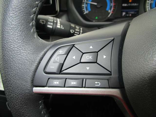 日産 ルークス ６６０ ハイウェイスターＧターボ プロパイロット エディション ４ＷＤ R5年 (中国) 99