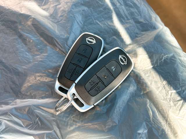 日産 ルークス ６６０ ハイウェイスターＸ プロパイロット エディション R7年 (九州・沖縄) 99