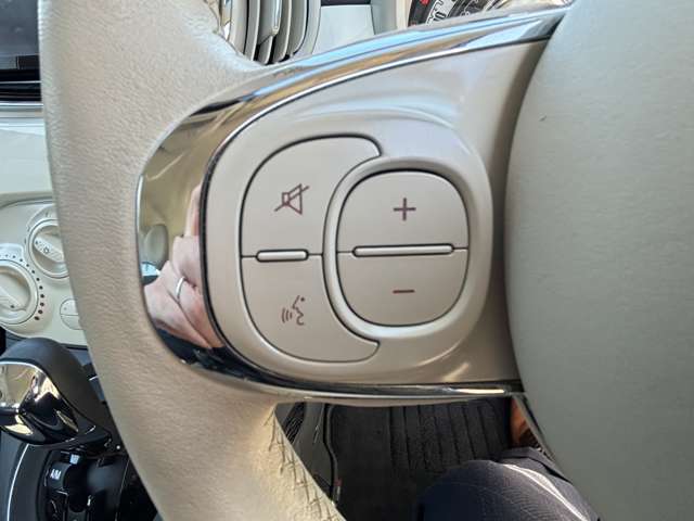 フィアット ５００（チンクエチェント） ツインエア ポップ H29年 (東北) 99