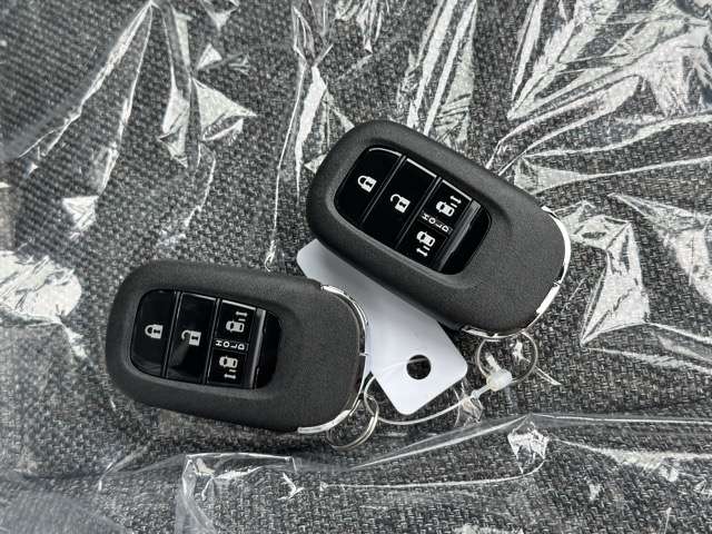 ホンダ フリード　ハイブリッド １．５ Ｅ：ＨＥＶ エアー ＥＸ R7年 (東海) 99