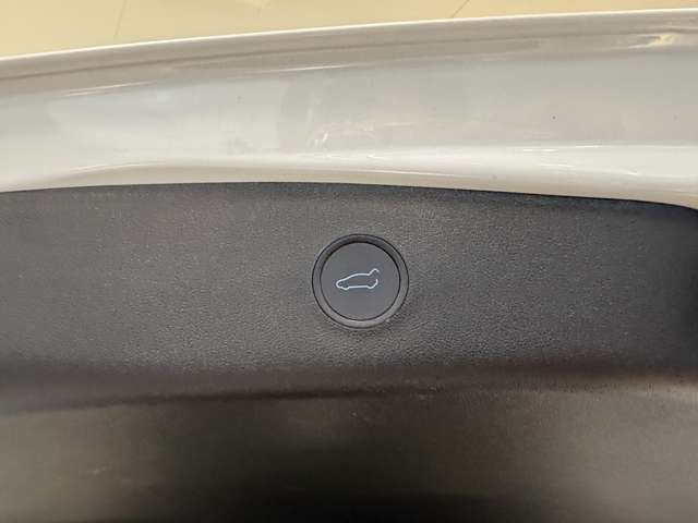 テスラ モデル３ スタンダードレンジプラス R3年 (関東) 99