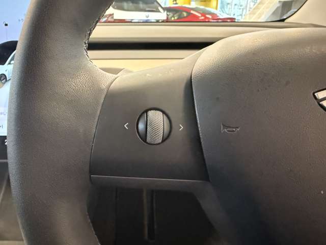 テスラ モデル３ スタンダードレンジプラス R3年 (関東) 99