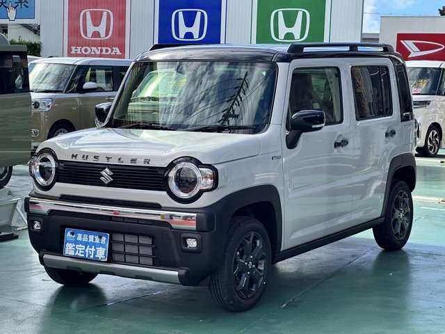 スズキ ハスラー ６６０ タフワイルド R6年 (東海) 99