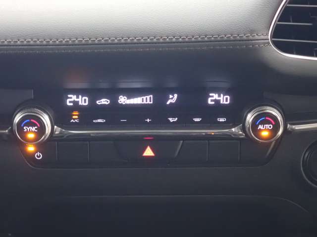 マツダ ＭＡＺＤＡ３　セダン ２．０ ２０Ｓ Ｓパッケージ R6年 (関東) 99