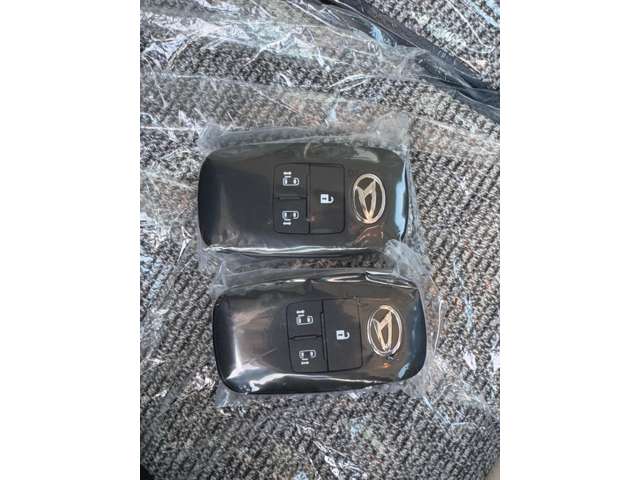 ダイハツ ムーヴ　キャンバス ６６０ ストライプス Ｇ R7年 (九州・沖縄) 99