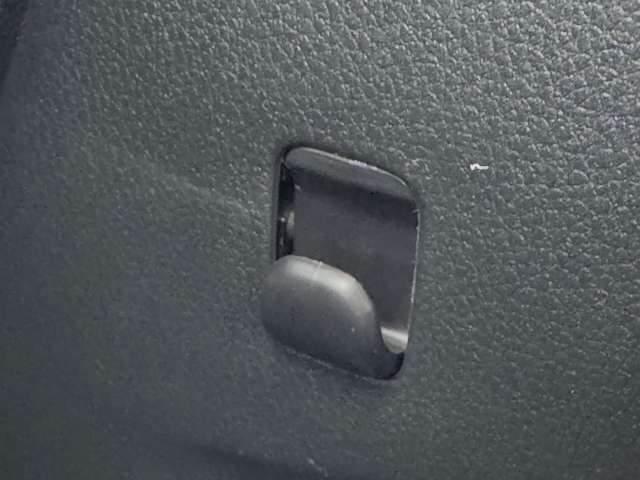 ダイハツ ムーヴ　キャンバス ６６０ ストライプス Ｇ R7年 (九州・沖縄) 99