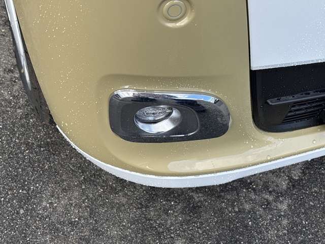 ダイハツ ムーヴ　キャンバス ６６０ ストライプス Ｇ R6年 (近畿) 99