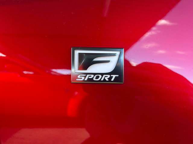 レクサス ＲＣ３００ｈ Ｆスポーツ R2年 (東海) 99